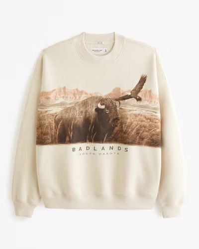 Bryce Canyon Graphic Crew Sweatshirt | Abercrombie & Fitch (US)