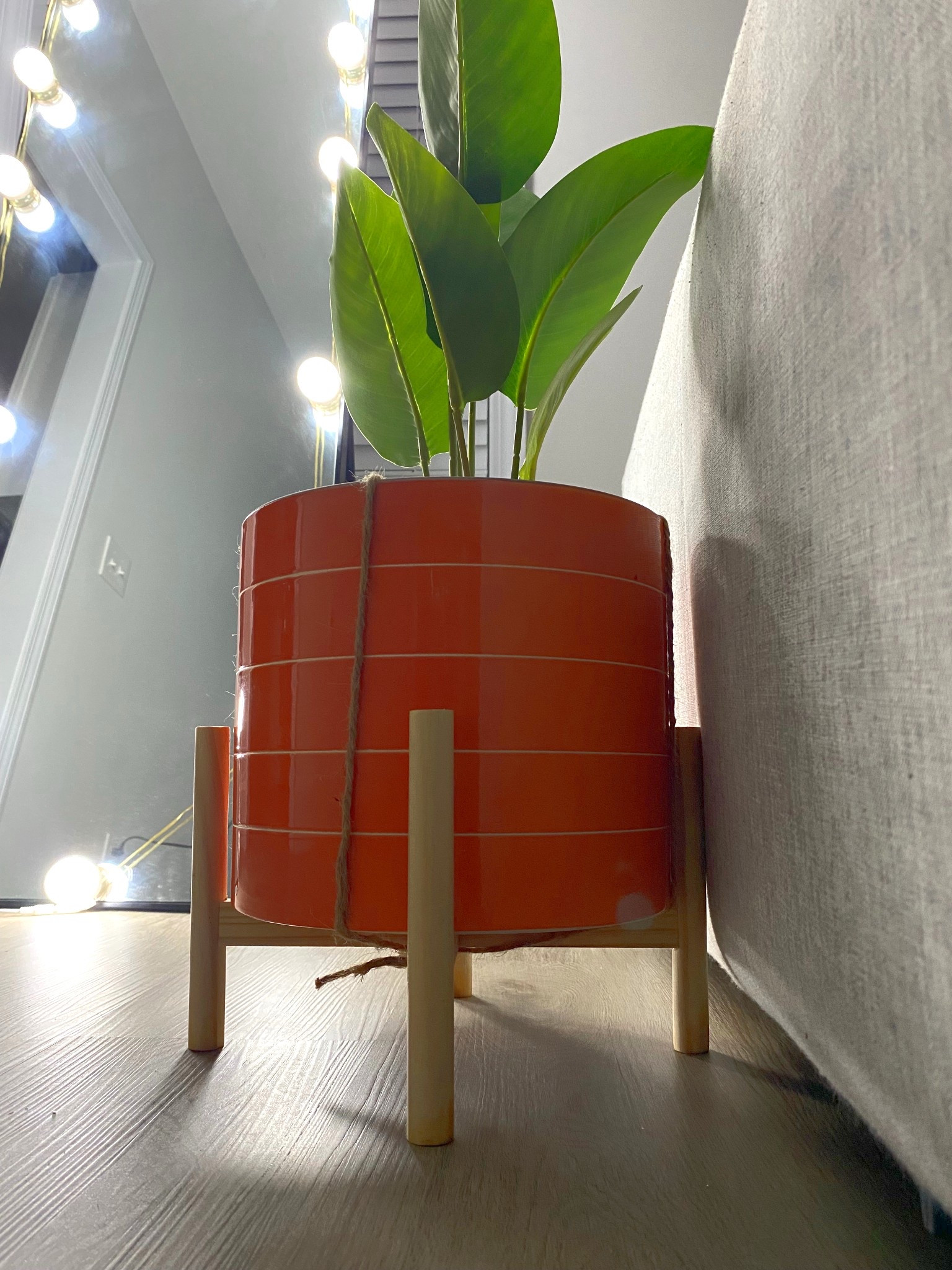 plant baby 🌱🧡

 

#LTKFindsUnder100 #LTKFindsUnder50 #LTKHome