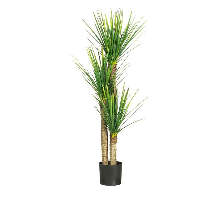 Faux Potted Yucca Tree | Pottery Barn (US)