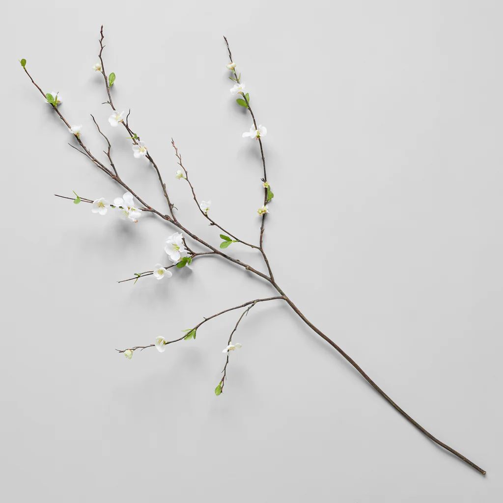 EcoFaux White Quince Branch, 46" | Bloomist