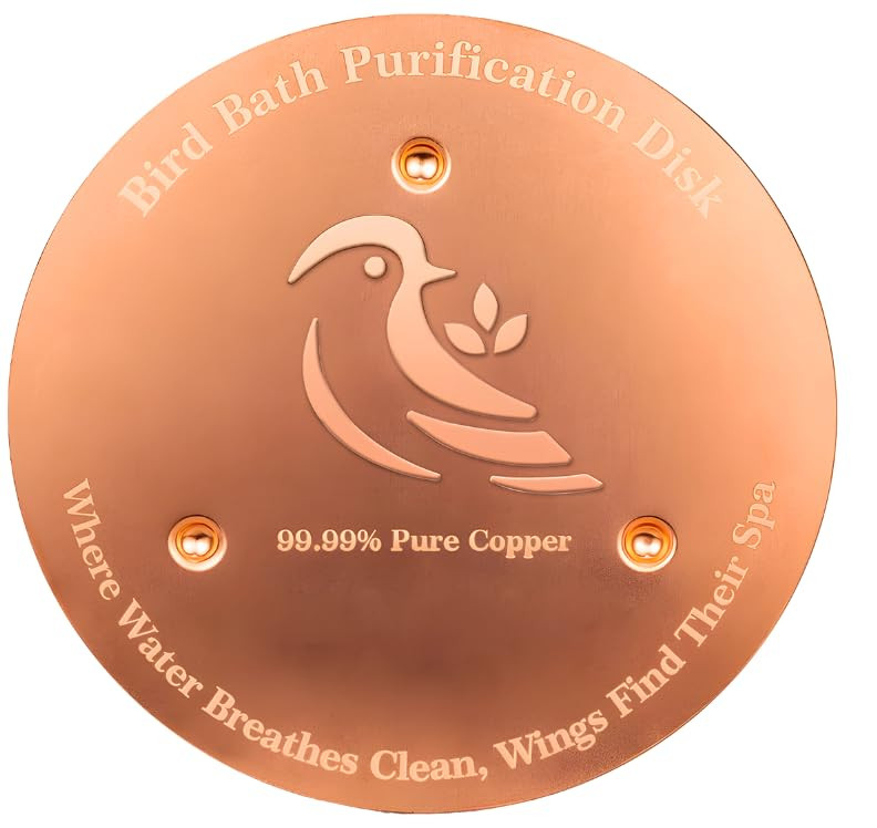 Bird Bath Copper Disk, Premium 0.6mm Sturdy 99.99% Pure Copper Disk for Bird Baths,Triple-Point S... | Amazon (US)