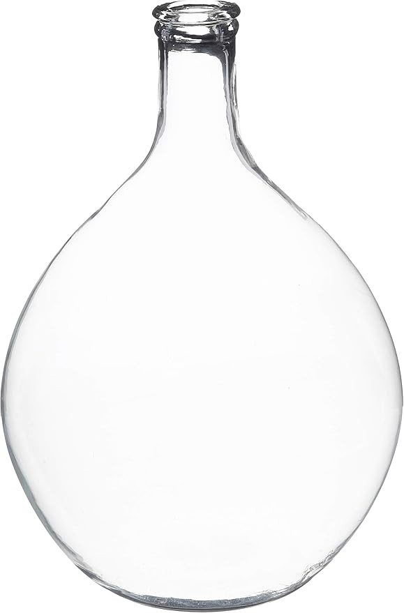 Creative Co-Op Decorative Glass Bottle Vase, 18 Inch, Clear | Amazon (US)