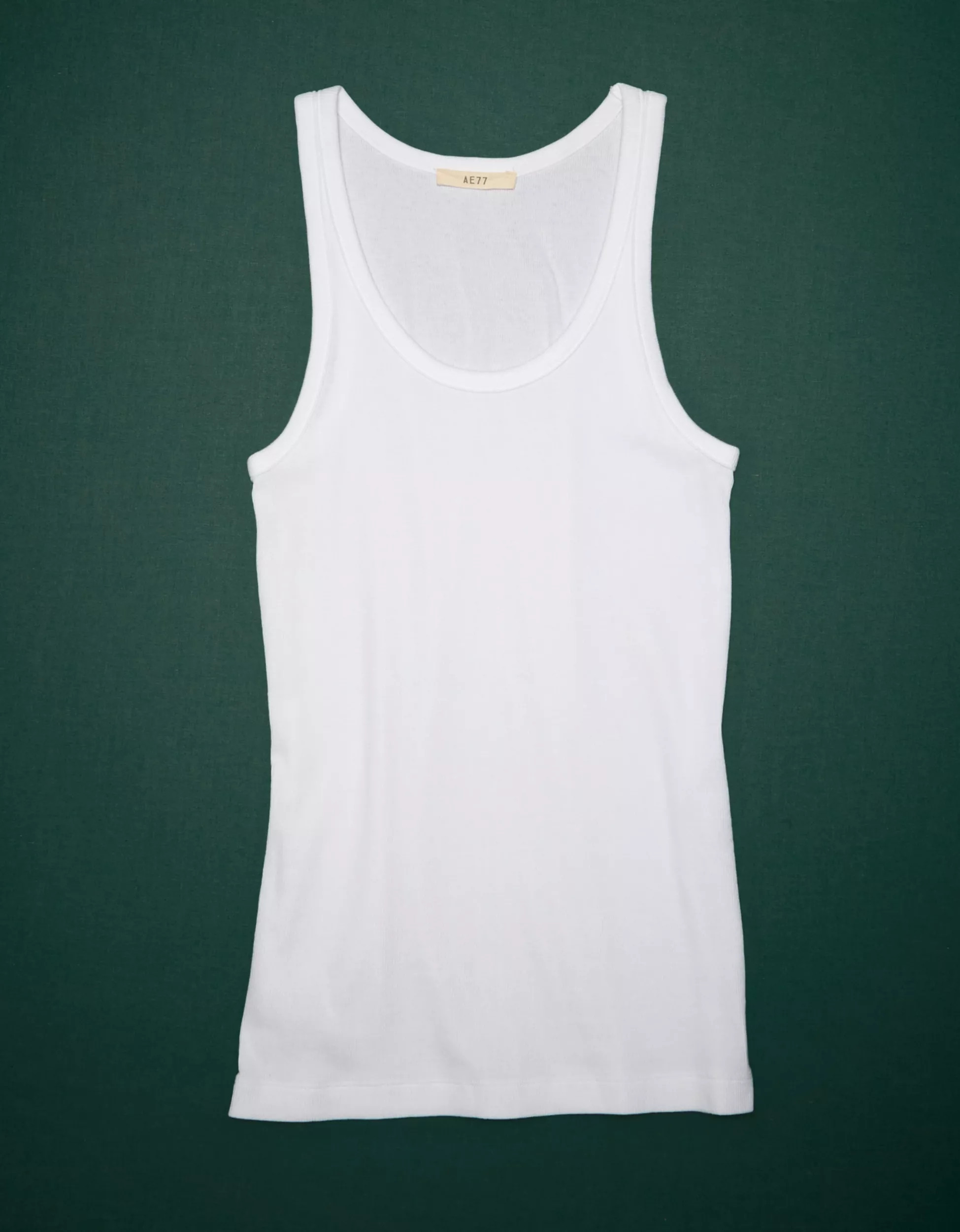 AE77 Premium Cotton Rib Tank | American Eagle Outfitters (US & CA)