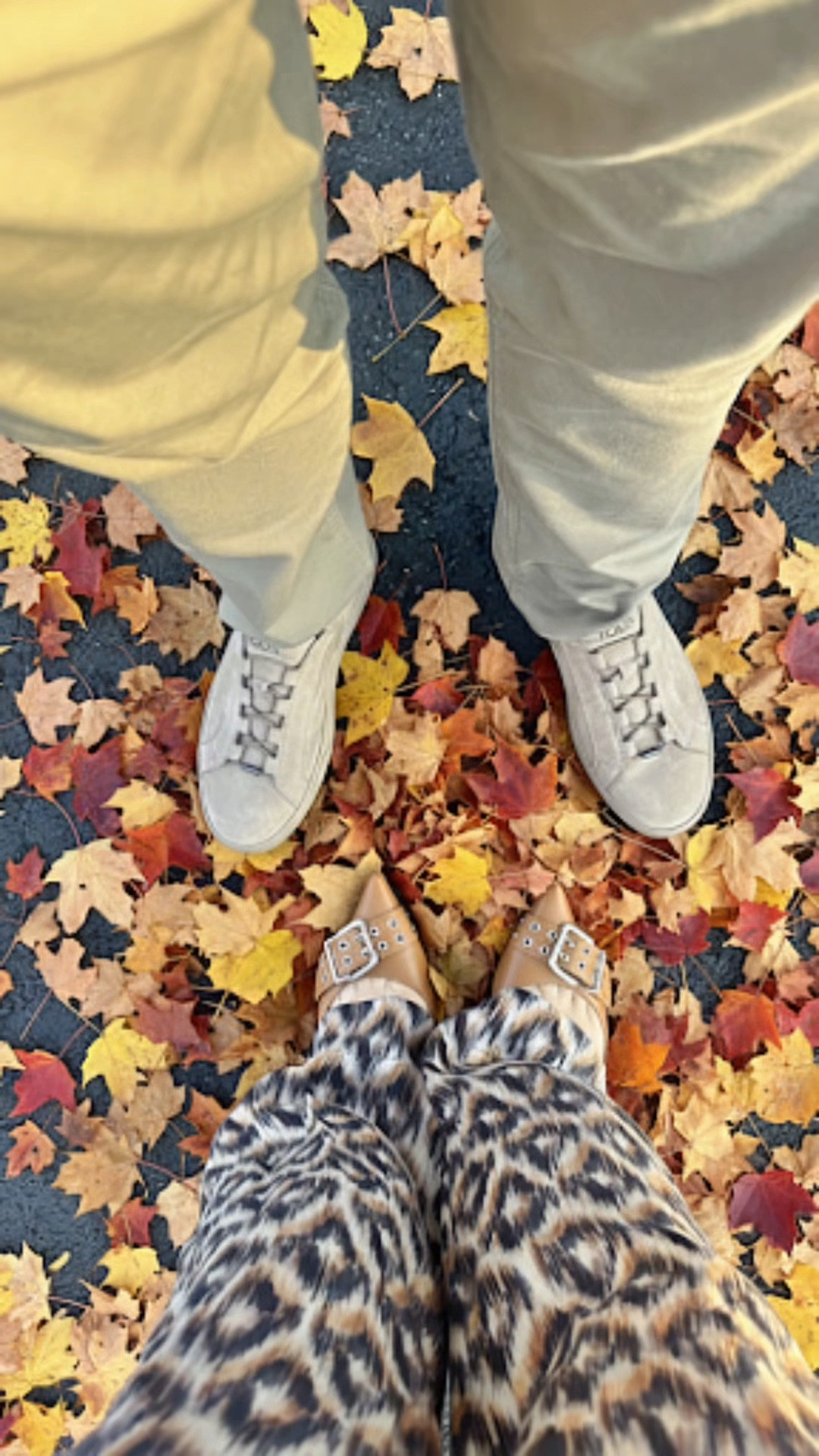 Another day in the life of a busy mom and wife! Blog / Vlog . Life is fashion. 

#LTKFamily #LTKSeasonal #LTKMens