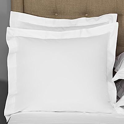 THREAD SPREAD European Square Pillow Shams Set of 2 White 1000 Thread Count 100% Egyptian Cotton ... | Amazon (US)