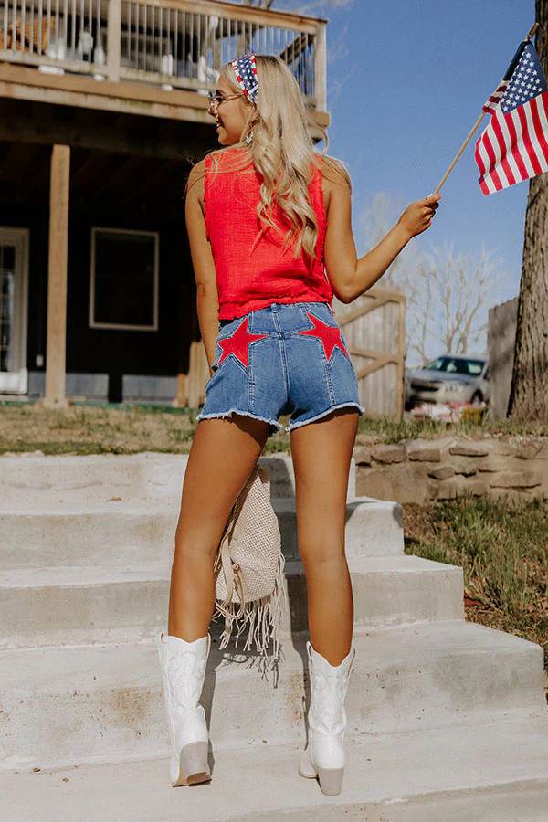 The Firework High Waist Shorts | Impressions Online Boutique