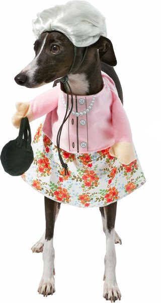 FRISCO Front Walking Granny Dog & Cat Costume, Medium - Chewy.com | Chewy.com