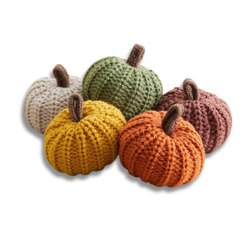 Set of 5 Mini Knit Pumpkins, Thanksgiving Table Centerpiece, Anthropology Home, Pottery Farmhouse and Barn Fall Décor, Bowl and Basket Filler, Autumnal Aesthetic, Cute Shelf Sitter, Hygge (Autumn Set) | Amazon (US)