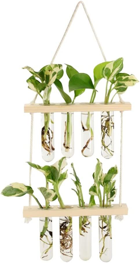 Wall Hanging Planter, 2 Tiered Plant Propagation Stations Plant Terrarium with Wooden Stand, Glas... | Amazon (US)