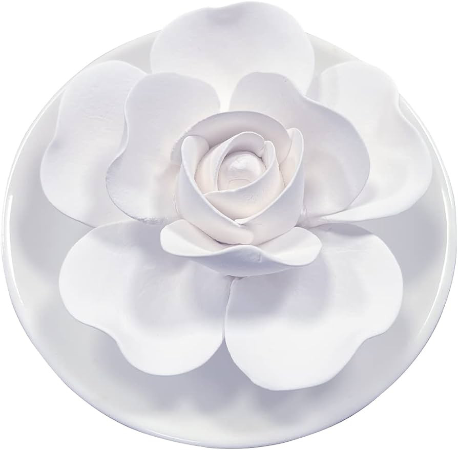 Passive Oil Diffuser for Essential Oil-Non-Electric Porcelain Aromatherapy Diffusers for Small Mi... | Amazon (US)