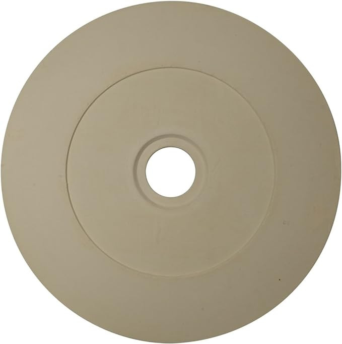 Ekena Millwork CM24DI Diane Ceiling Medallion, 24"OD x 3 5/8"ID x 1 1/4"P, Factory Primed | Amazon (US)