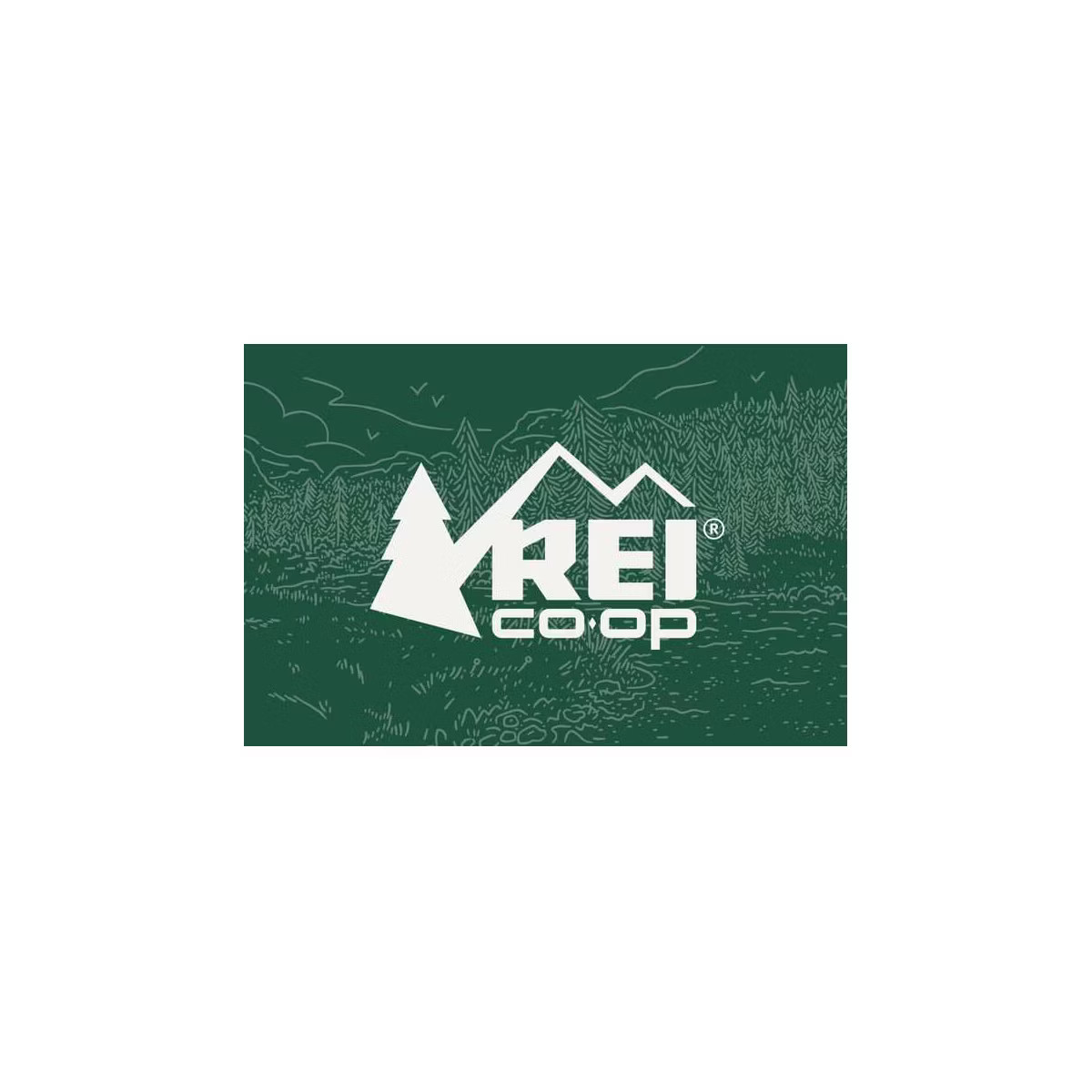 REI Co-op Gift Card | Target