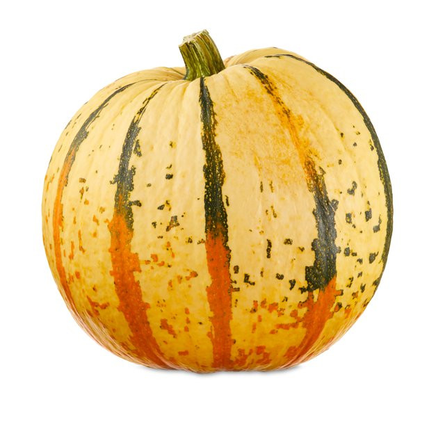 Fresh Candy Corn Pumpkins | Walmart (US)