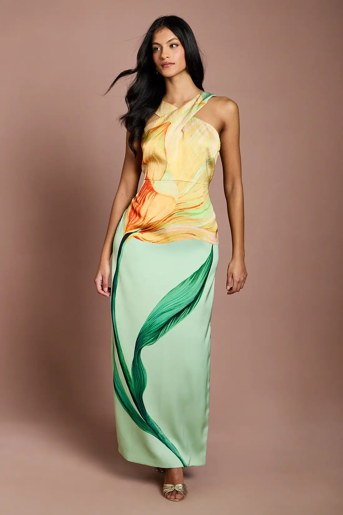 Dresses | Petite Large Scale Floral Placement Print Halterneck Pencil Dress | Coast | Boohoo.com (UK & IE)