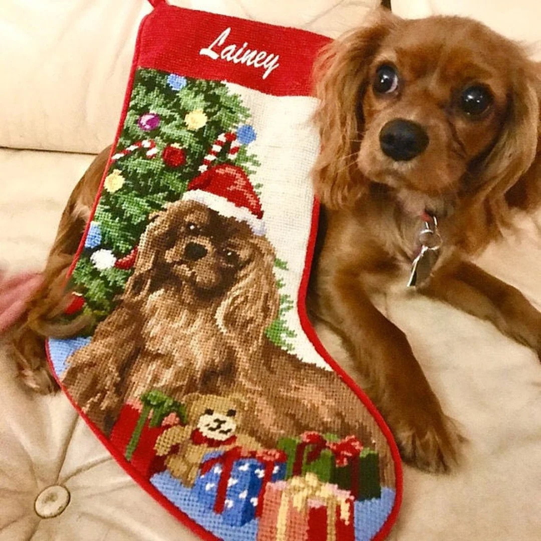 Ruby King Charles Christmas Stocking: Embroidered Name on Needlepoint Dog Lover Gift - Etsy | Etsy (US)