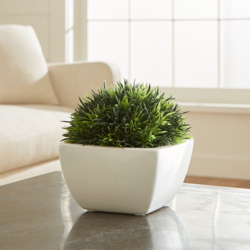 Potted Artificial/Faux Moss + Reviews | Crate and Barrel | Crate & Barrel