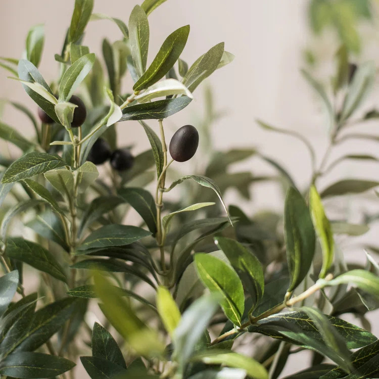 Branch | Wayfair North America