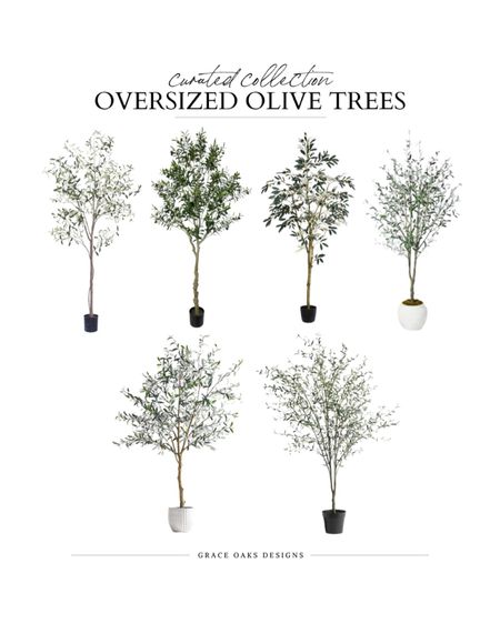 oversized olive trees 8’ + beautiful and realistic to fill a large corner or wall for living room entry bedroom dining room and more 

Home decor. Faux tree. Olive tree  

#LTKsalealert #LTKstyletip #LTKhome
