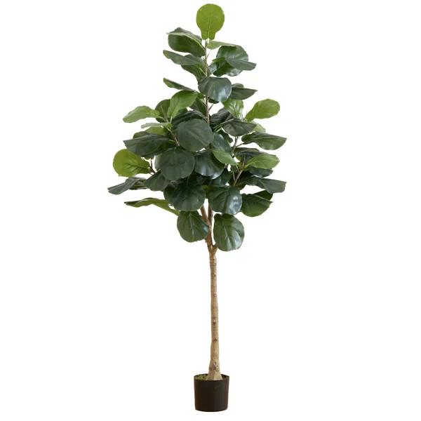 Weir 72'' Faux Fiddle Leaf Fig Tree in Pot | Wayfair North America