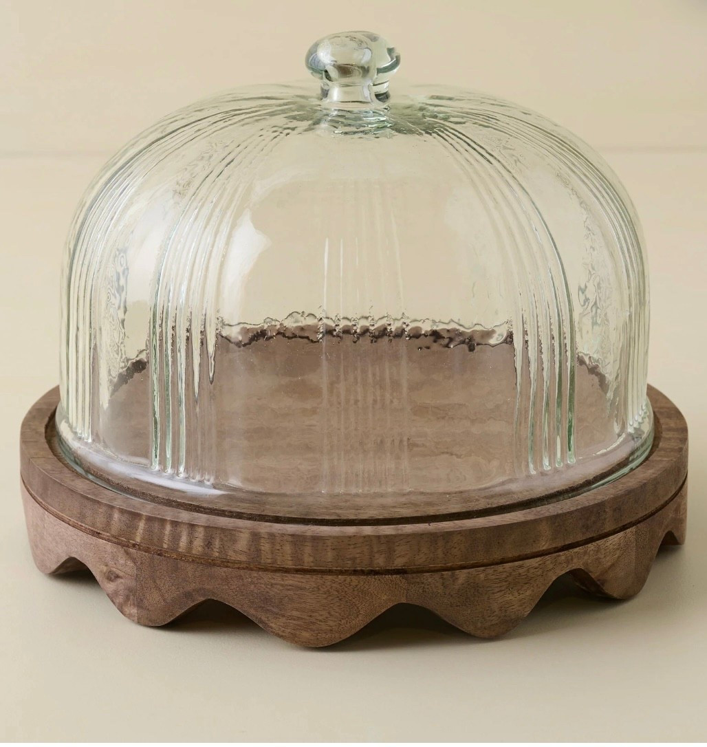 In love with this muffin/cookie holder!  A statement that can be left on the counter!  Linking this and more of my home decor & home furniture I’m loving!

#LTKHome