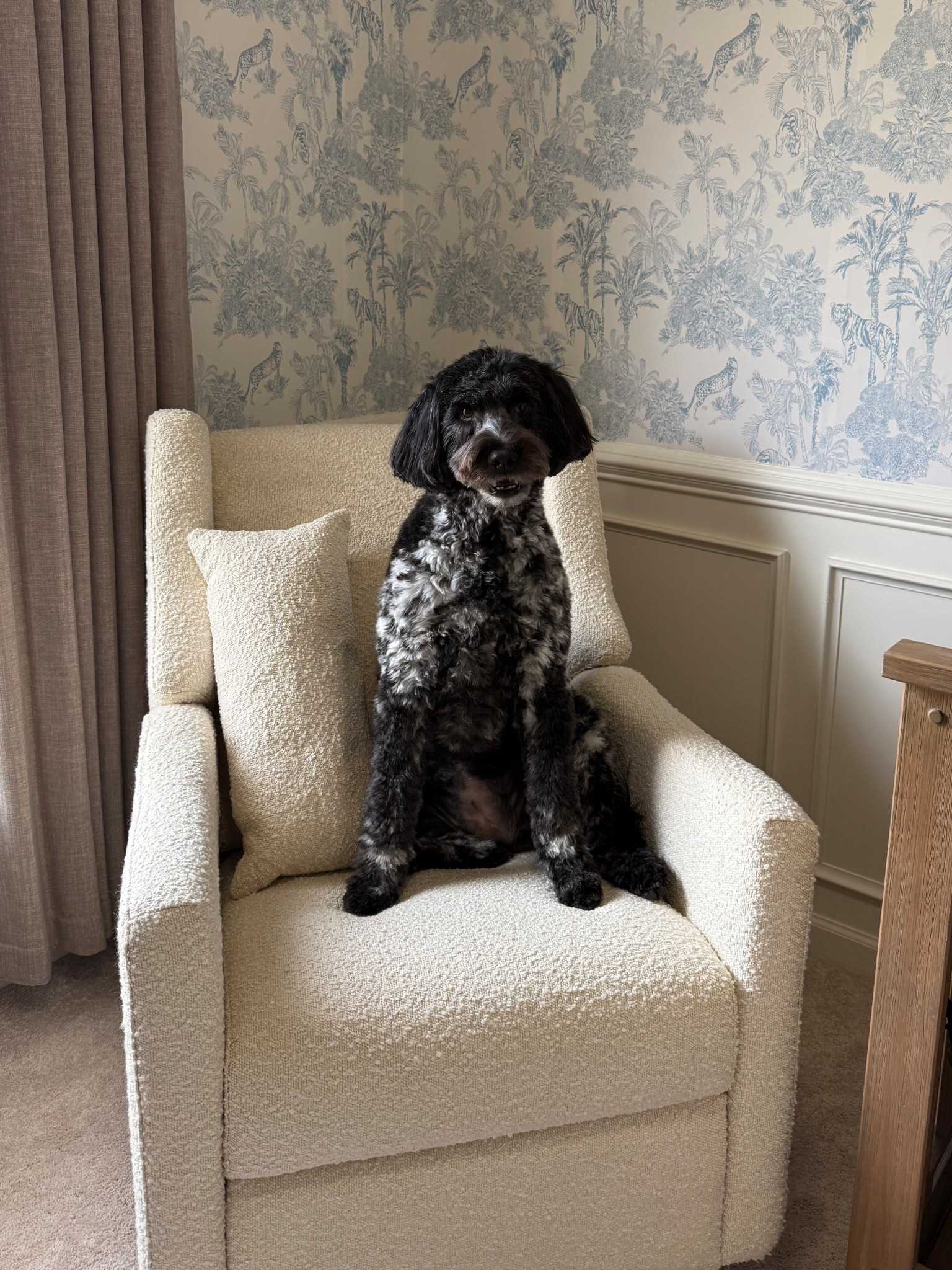 The perfect nursery rocker!

#LTKBaby #LTKGiftGuide #LTKmomlife