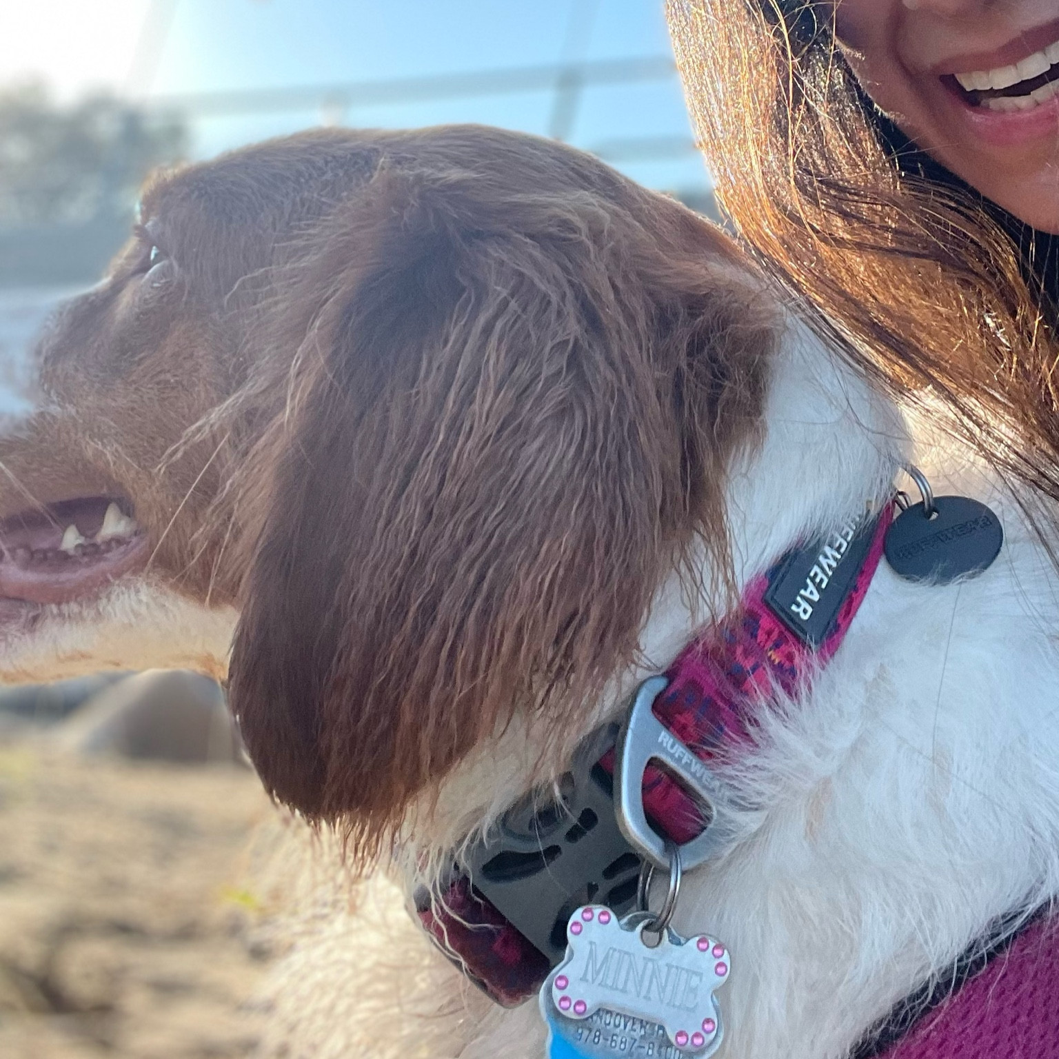 Functional and long lasting dog collar. 

#LTKfamily #LTKstyletip #LTKkids