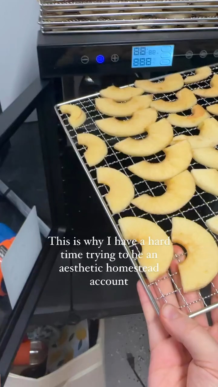 Clumsy moment with my magic mills dehydrator 🤦🏻‍♀️ I absolutely love this thing otherwise tho! This dehydrator is great for anyone wanting to start a food preservation journey!

#LTKGiftGuide #LTKHoliday
