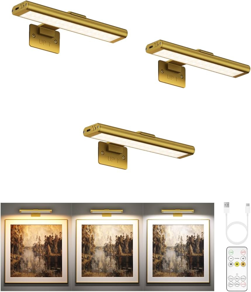 EZVALO Luz para Cuadros de Pared, Luces con Batería Recargable de 2400mAh Control Remoto Inalám... | Amazon (US)