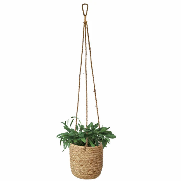 Woven Hanging Plant Pots with Waterproof Interior Plastic Coating for Indoor Garden and Balcony D... | Made Terra