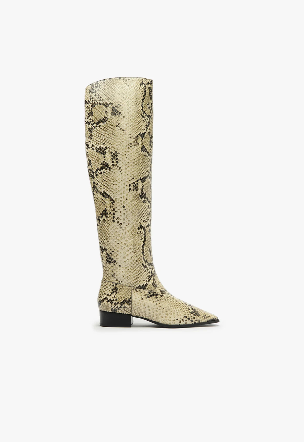 Helena Over the Knee Boot | Schutz (US)