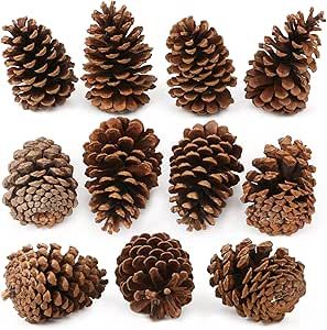 Yexpress 12 Pack Large Natural Pinecones, 3.5" to 4.7" Christmas Rustic Natural Pine Cones Fall O... | Amazon (US)