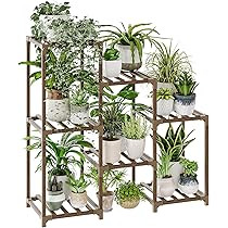 Amazon.com : Bamworld Plant Stand Indoor Plant Shelf Outdoor Wood Plant Rack for Multiple Plants 3 Tiers Ladder Plant Holder for Living Room Patio Boho Home Decor for Gardening : Patio, Lawn & Garden | Amazon (US)