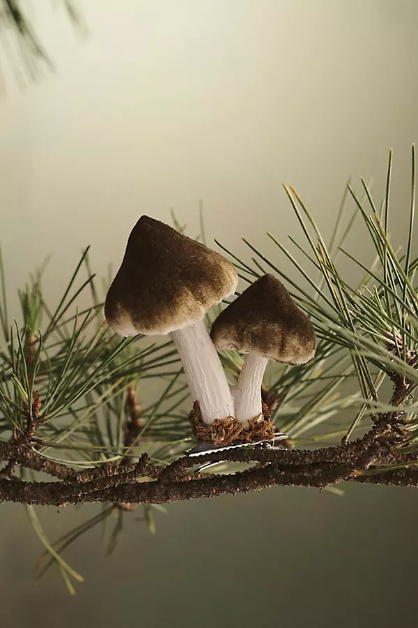 Mushroom Velvet Clip Ornament | Terrain