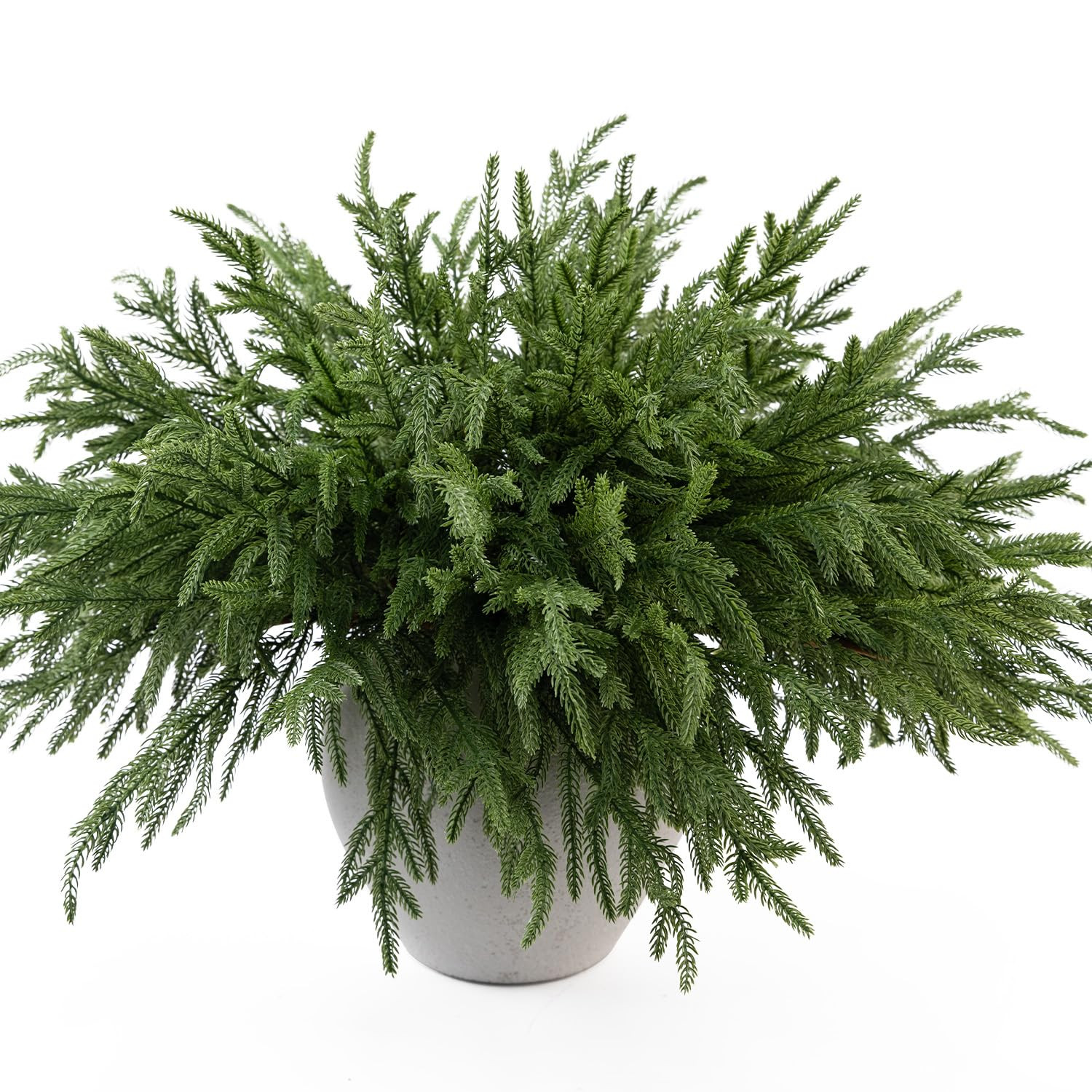 MISSPIN 12 Pcs 19.5 Inches Christmas Norfolk Pine Branches, Norfolk Pine Artificial Christmas Bra... | Amazon (US)