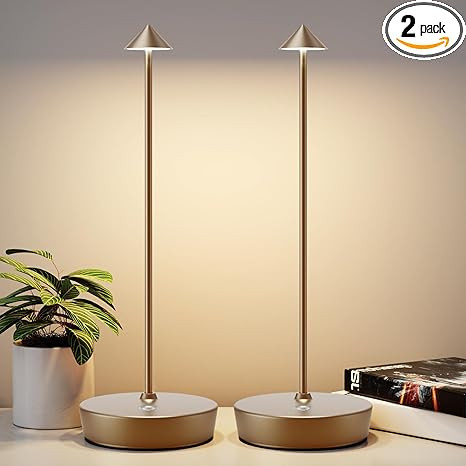2Pack Rechargeable Cordless Table Lamp, Portable Powered LED Battery 6000mAh Metal USB Desk Lamp,... | Amazon (US)