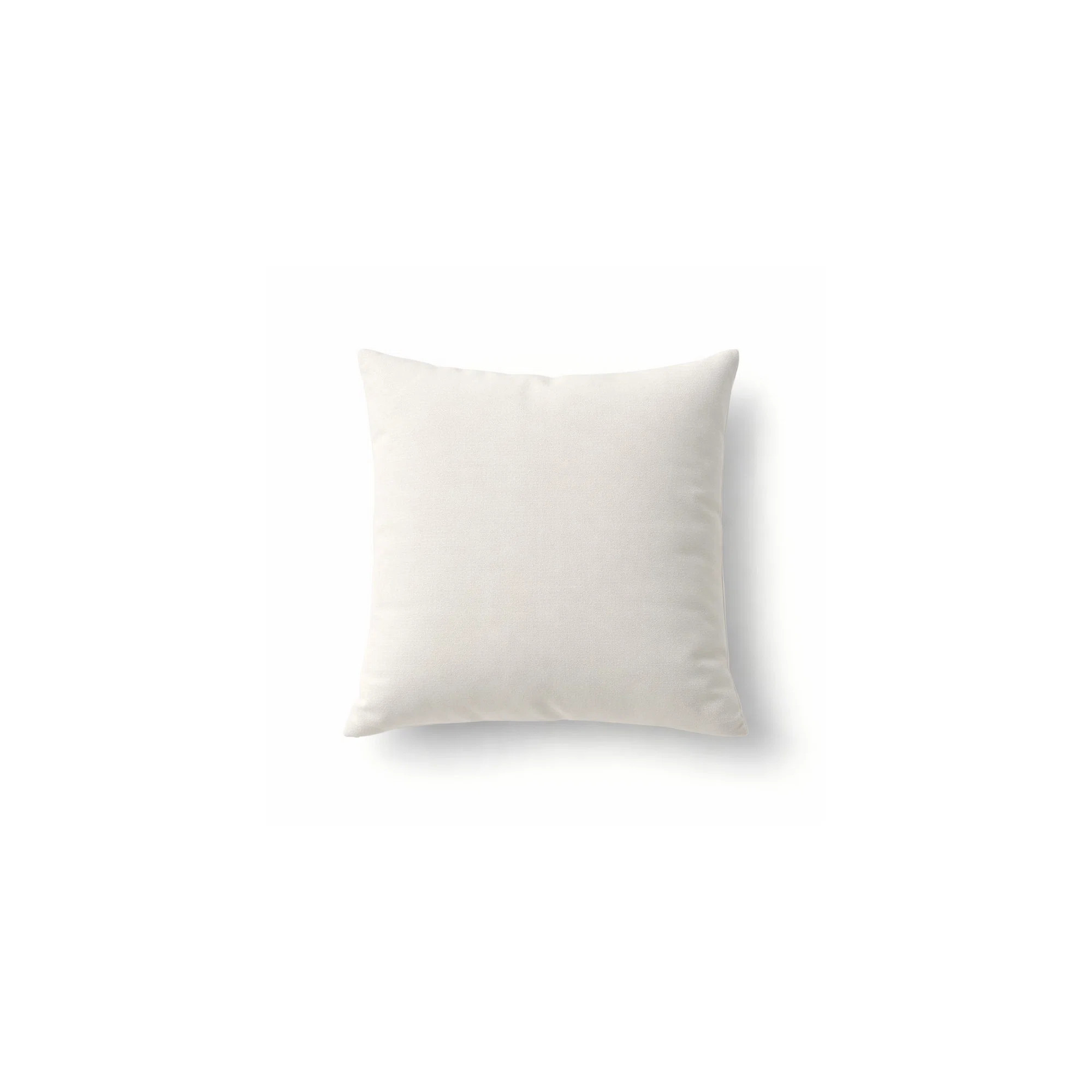 Indoor/Outdoor Throw Pillow | Joss & Main