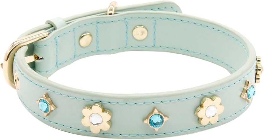 Visit the JAX PLANET Store | Amazon (US)