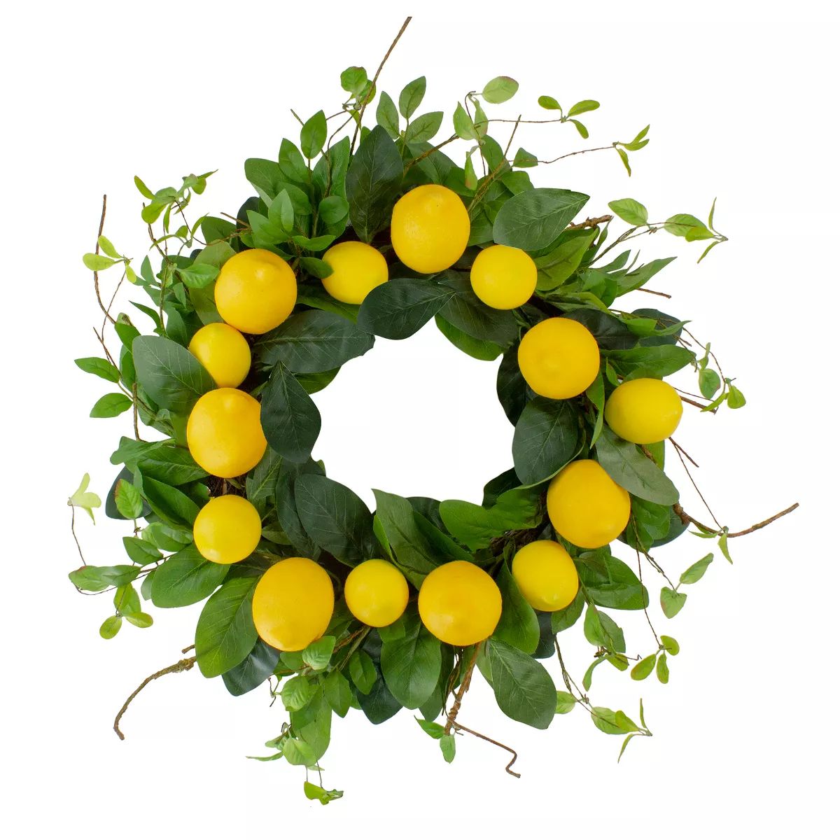 Northlight Lemons and Assorted Foliage Spring Wreath, Yellow and Green 20" | Target