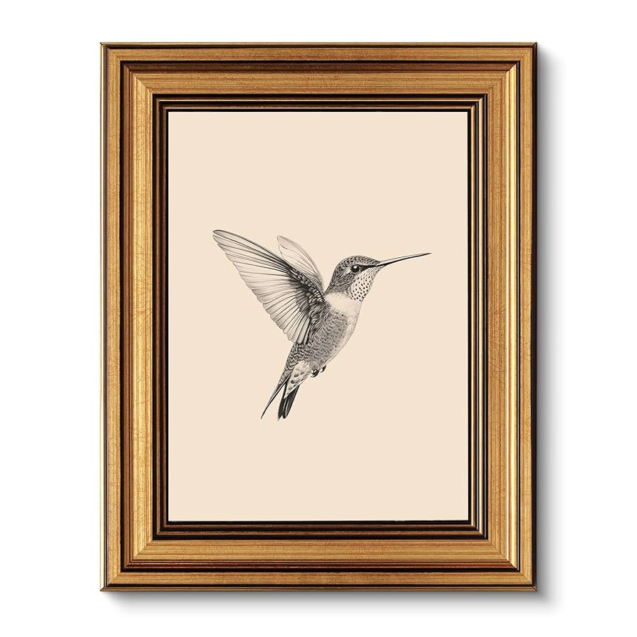 VIYYIEA Vintage Gold Framed Wall Art for Living Room, Birds Canvas Prints Home Decor, Sketch Pain... | Amazon (US)