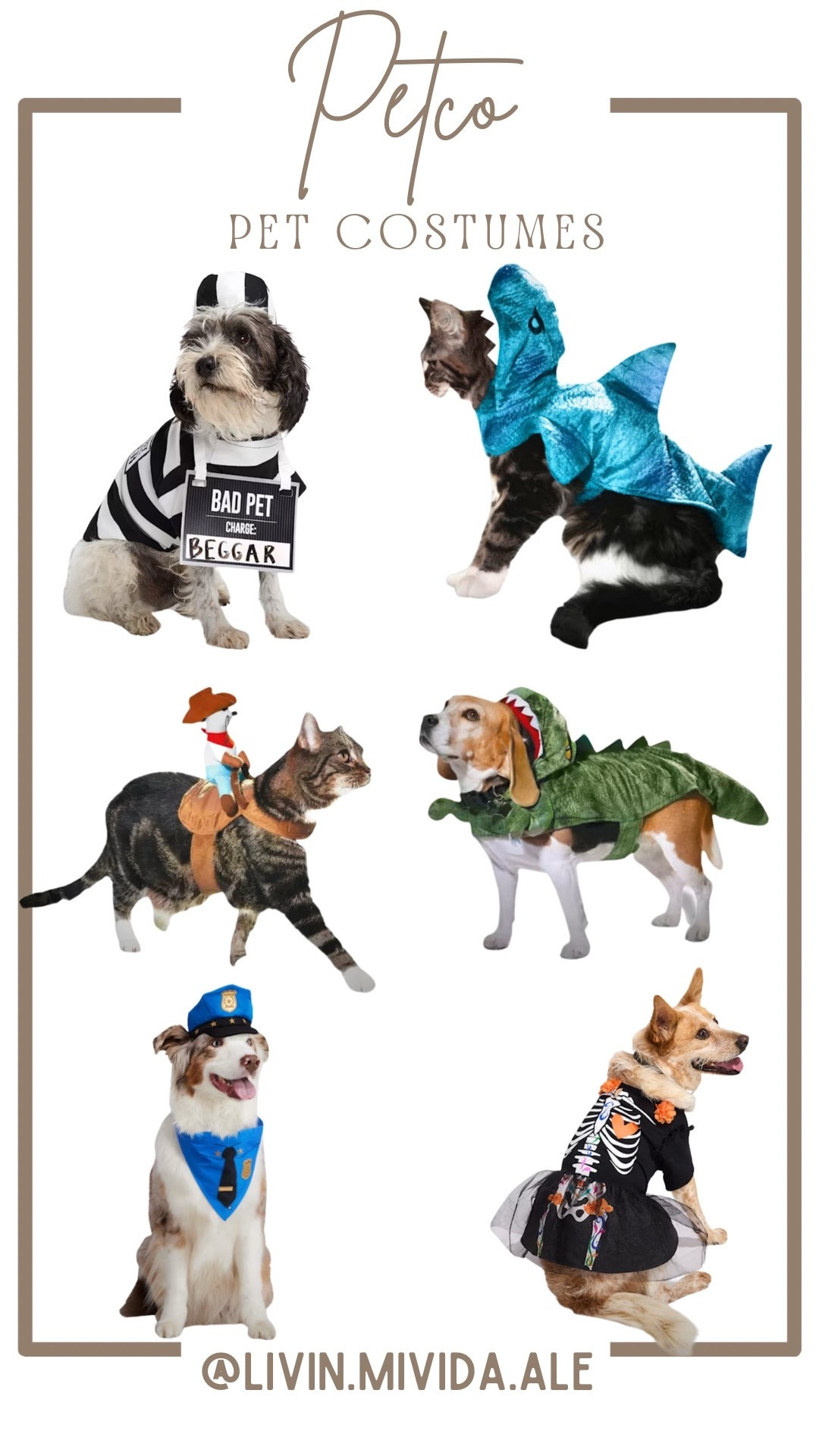 Per costumes 🐶💕❤️

#pets #costumes #dog #cat

#LTKFindsUnder50 #LTKStyleTip #LTKFamily