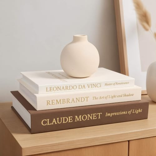 MAOBUYOU Decorative Books for Home Decor, Set of 3 Linen Coffee Table Books | Amazon (US)