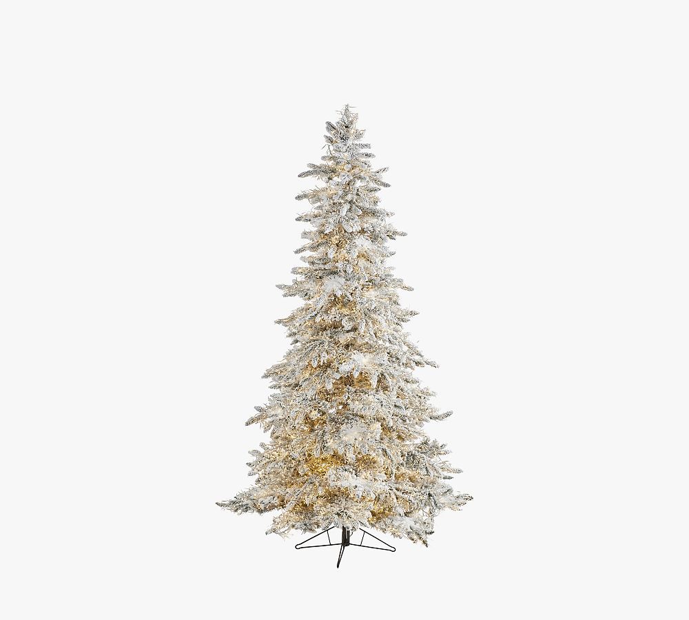 Lit Flocked Grand Northern Rocky Fir Artificial Christmas Tree | Pottery Barn (US)