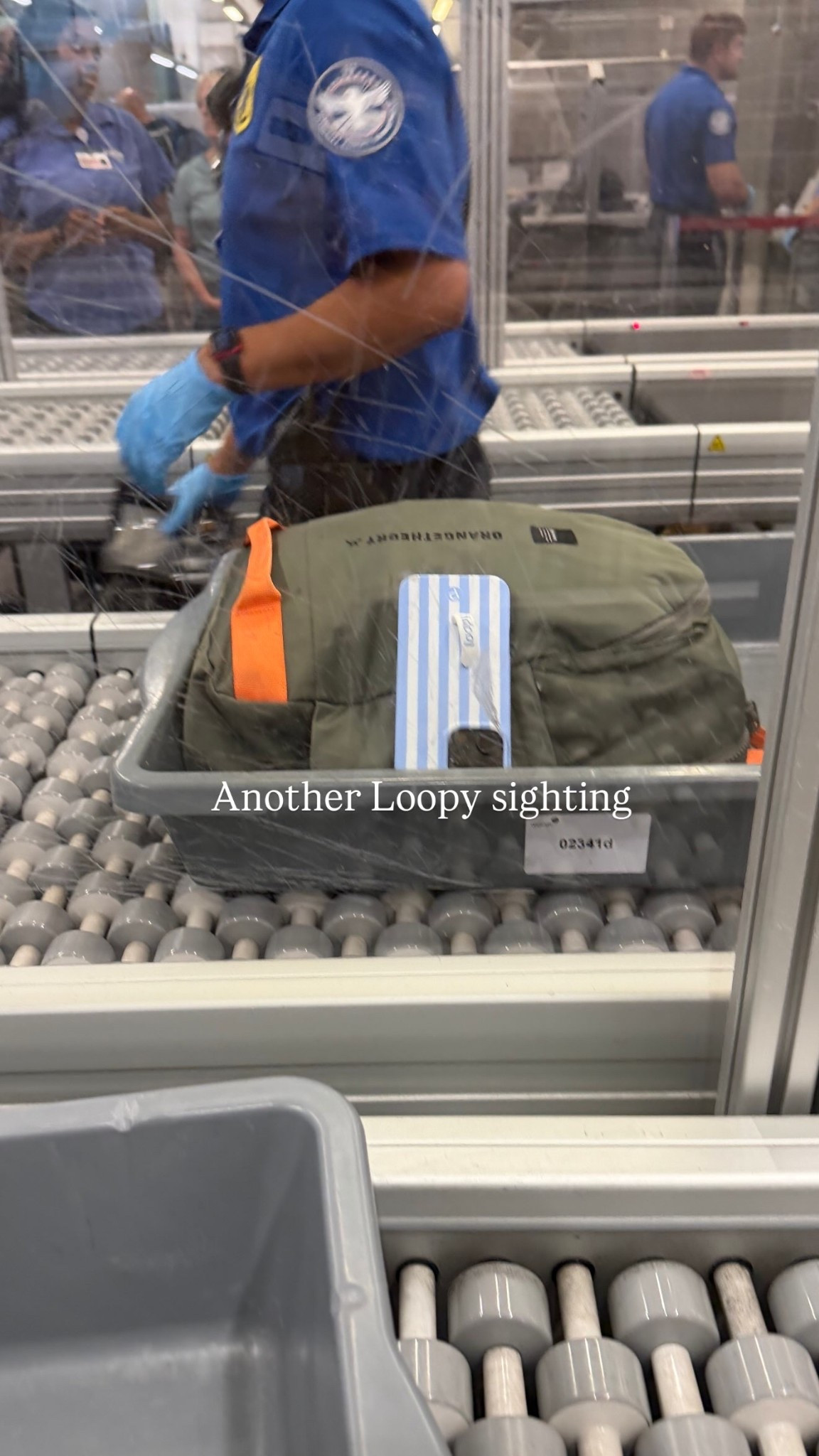 Another Loopy sighting