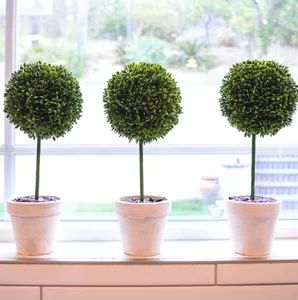 Floor Boxwood Topiary | Wayfair North America