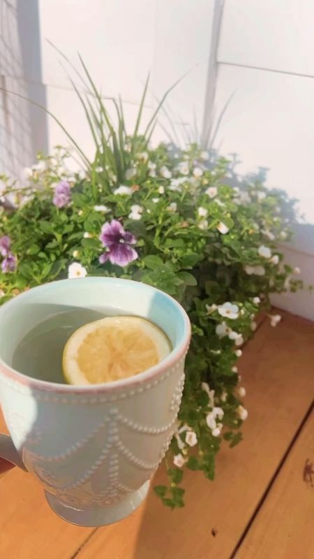 sunshine ☀️, my morning lemon water 🍋 and some new flowers planters 💐 makes for a happy happy start to the weekend!! 🥰

#LTKfamily #LTKSeasonal