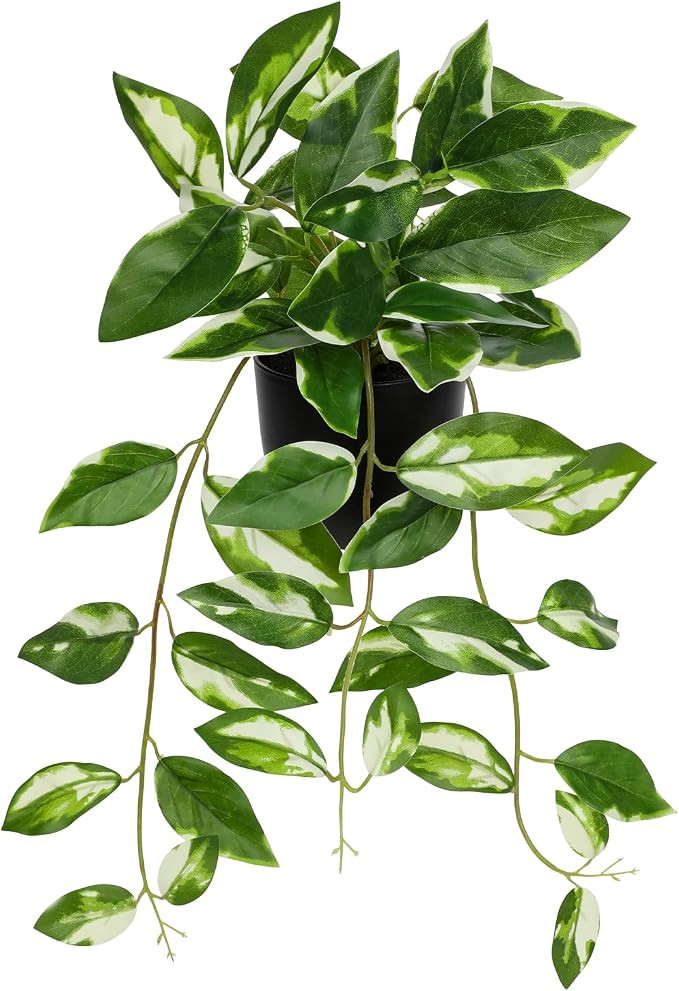 Briful Small Fake Plants Indoor Greenery Realistic Faux Trailing Plant Artificial Potted Plants i... | Amazon (US)