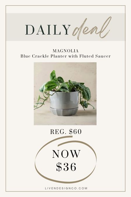 Blue crackle vase from Magnolia. Garden gift. Home decor. Glazed planter pot with saucer. 

#LTKhome #LTKfindsunder50 #LTKsalealert