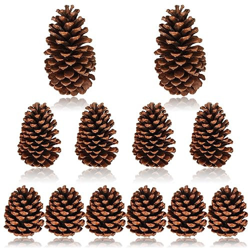 Huwena 12 Pcs Pinecones 3''-4'' 5''-6'' 6''-7'' Tall Unscented Large Pine Cones for Crafts Natural Pine Cones for DIY Christmas Trees Hanging Ornaments Bowl Vase Fillers Home Decorations | Amazon (US)