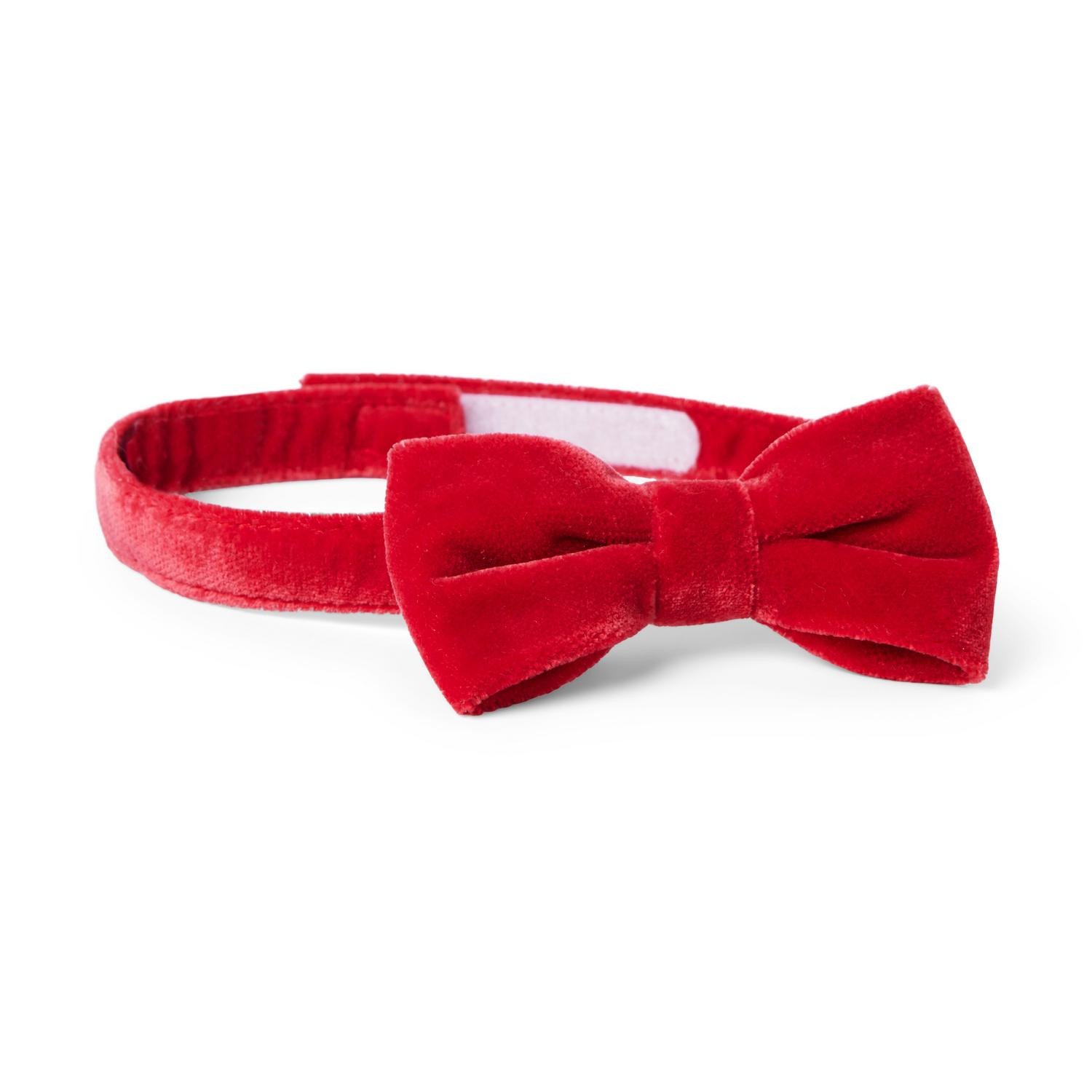 Velvet Bowtie | Janie and Jack