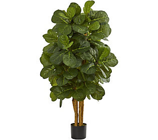4' Fiddle Leaf Fig Tree in Black Planter by Nea | QVC